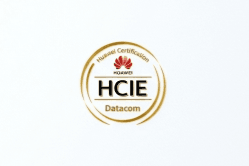 HCIE